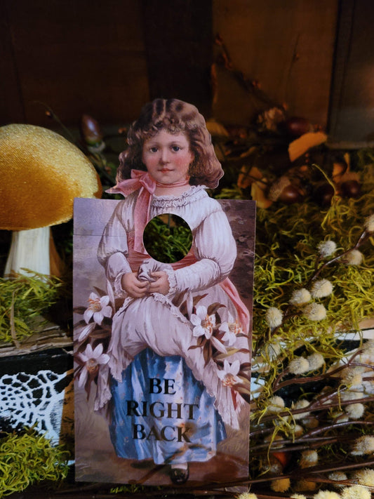 Vintage Victorian Style Door Knob Knocker Notes