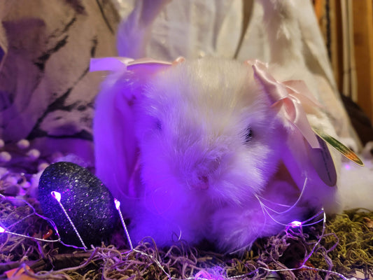 Bountiful Bunny Easter Basket with Pink Ribbon